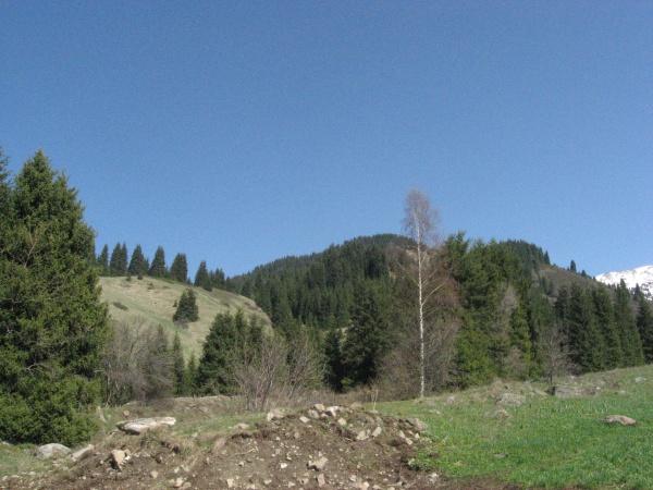 Весна в ущелье Казачки Весна в ущелье Казачки