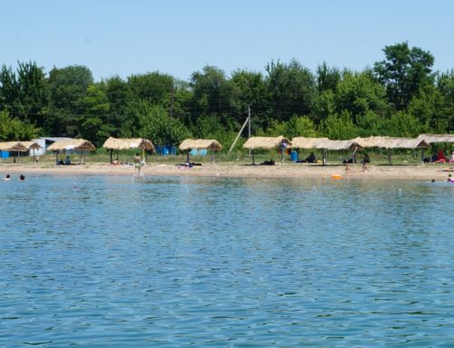 Зона отдыха Бастау