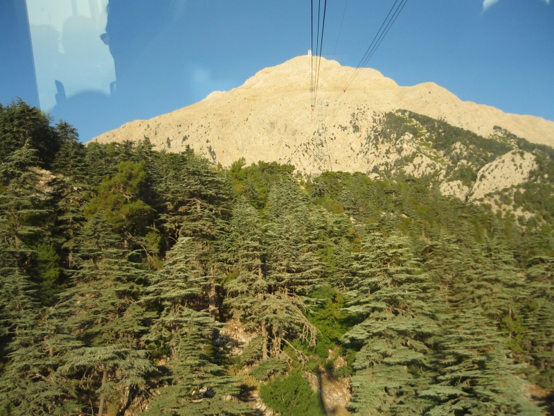 tahtaly
