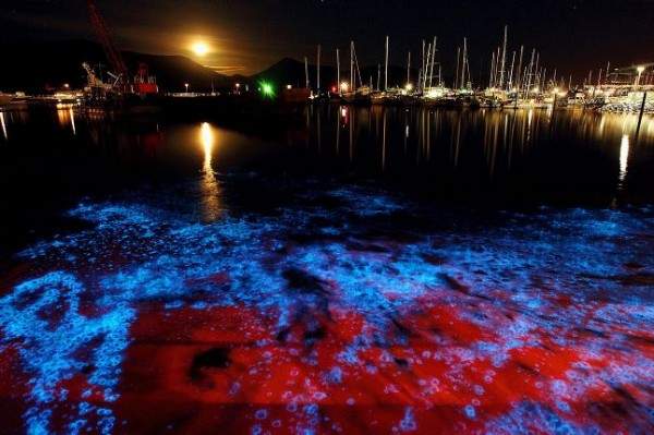 Блестящие воды Блестящие воды