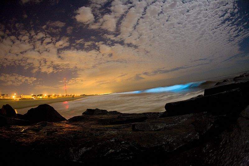 Блестящие воды Блестящие воды