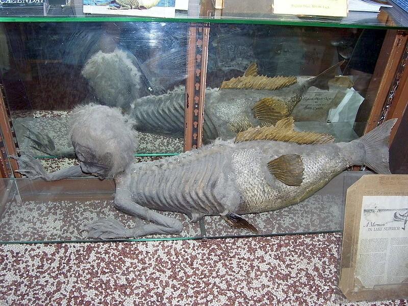 Русалки и русалы Русалки и русалы