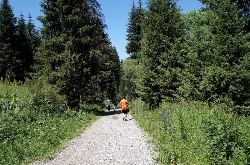 road