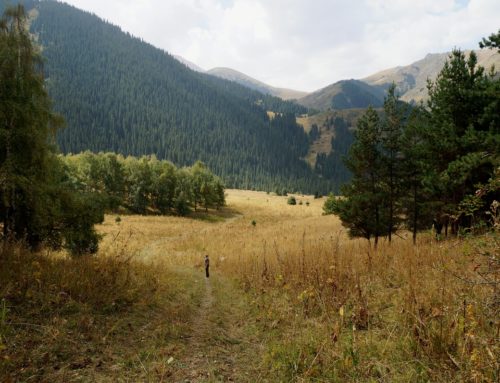 На пути к Казачьим озерам
