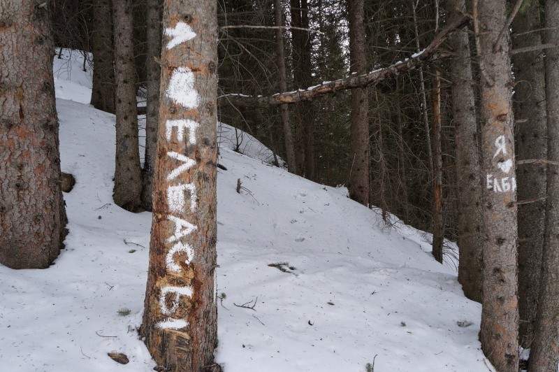 Кок Жайляу - Тропа здоровья