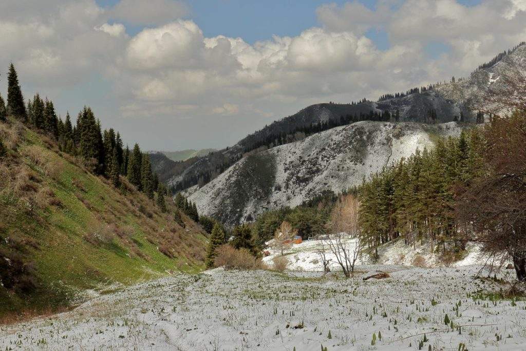 Турбаза Еликсай