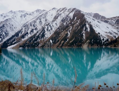 Шукур — БАО