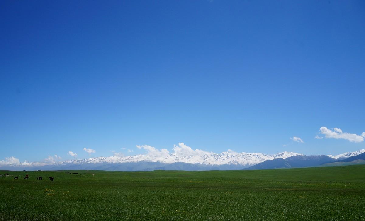 ushkonyr