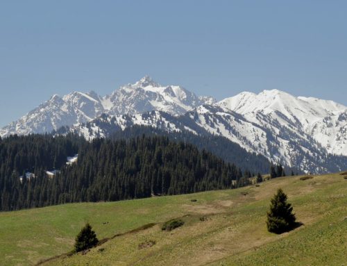 Плато Актас — Сад камней