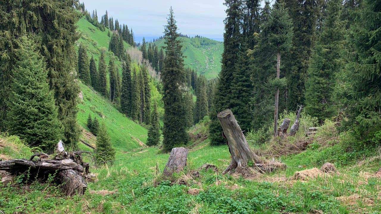 В Бутаковском ущелье весной