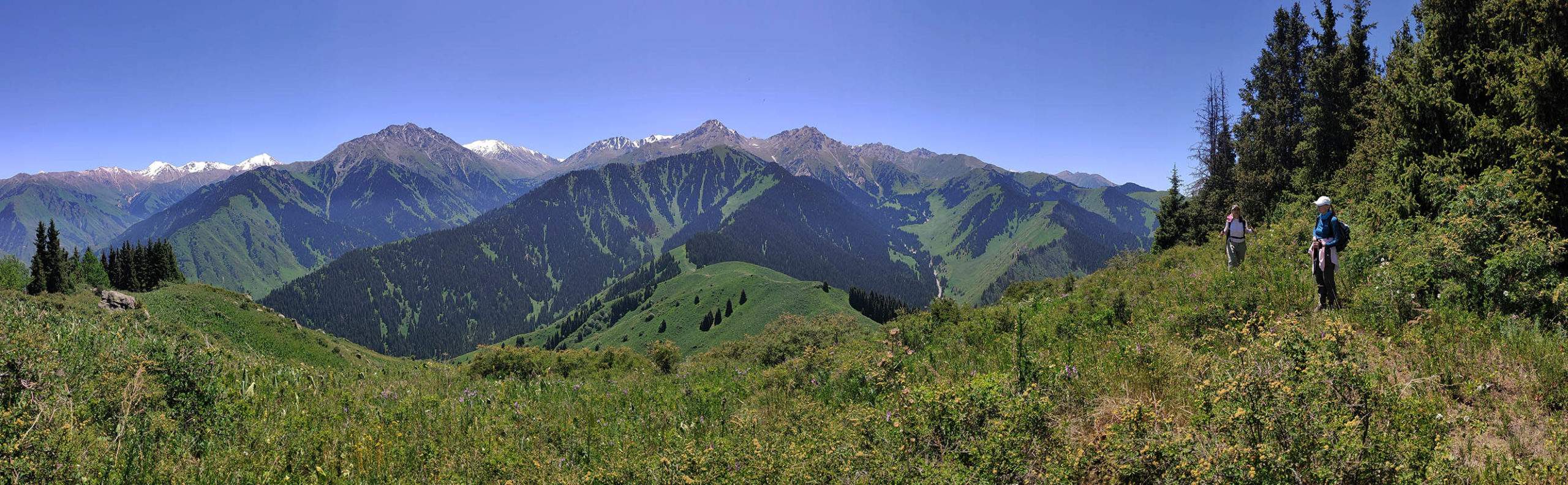 Панорама с Волчьей горы