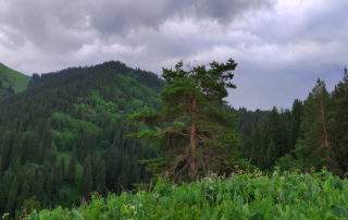 Гора Смотровая