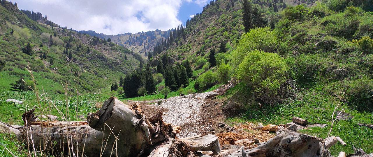 Остатки лавины в ущелье Саркырама