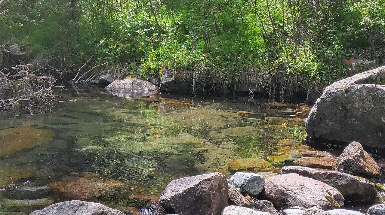 Красная поляна, Левый Талгар
