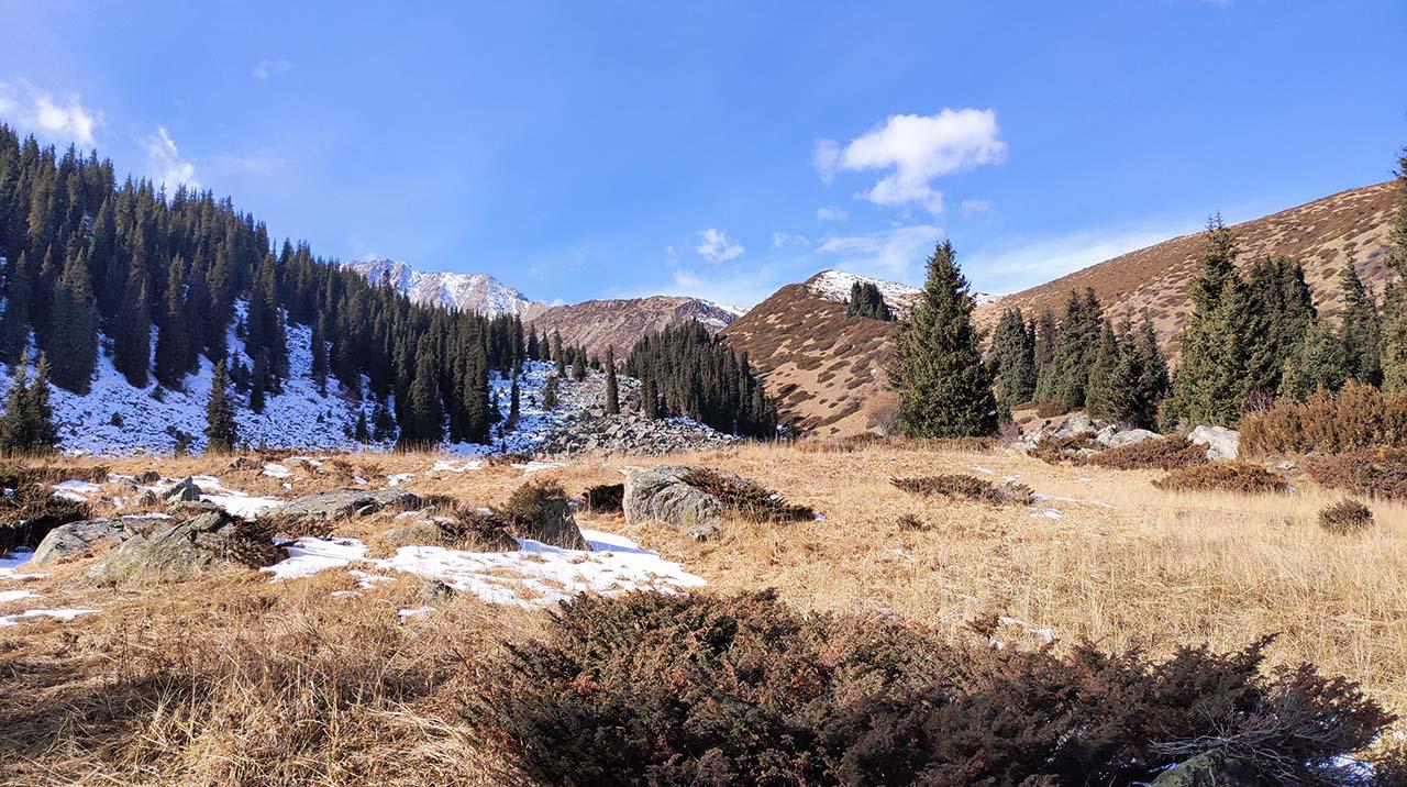 p21106 113106 1
