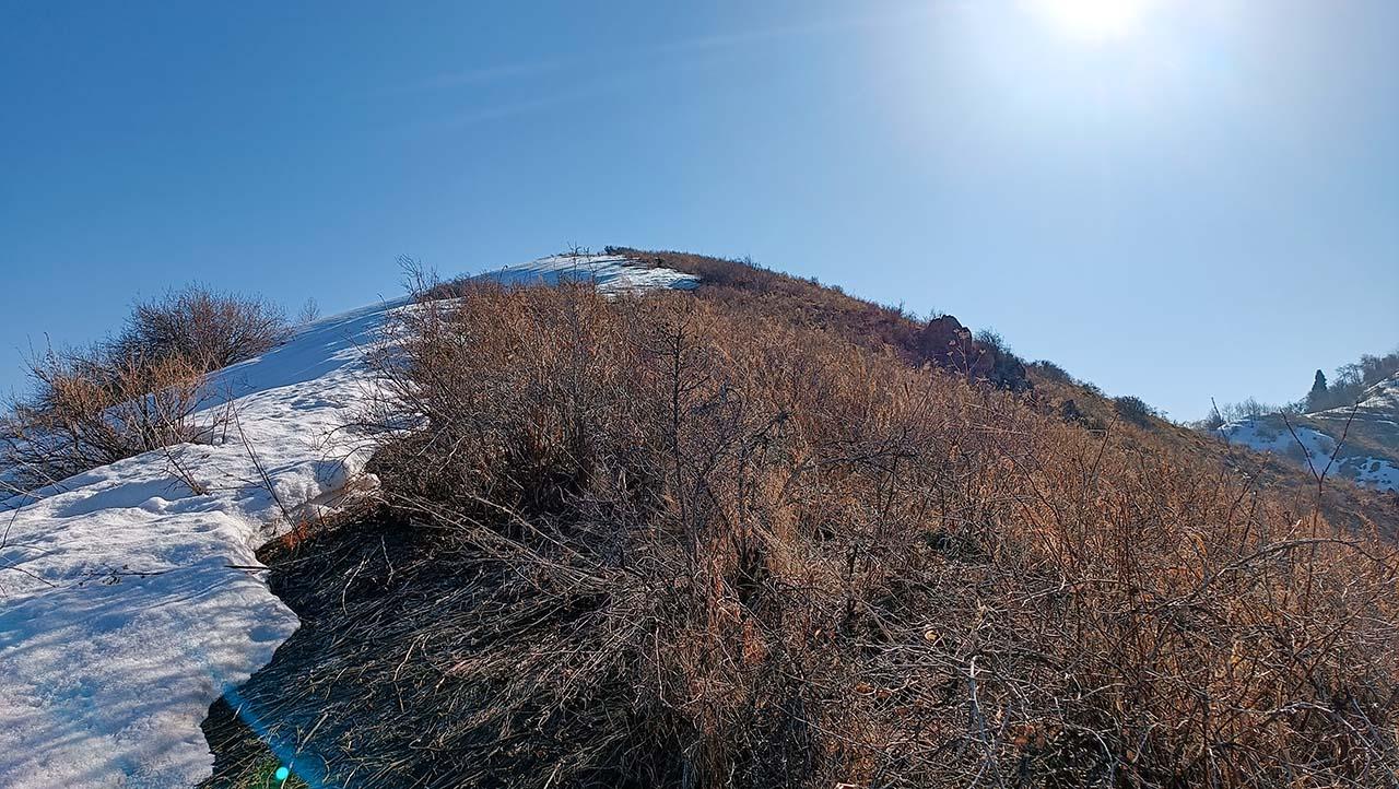 nikitina gora
