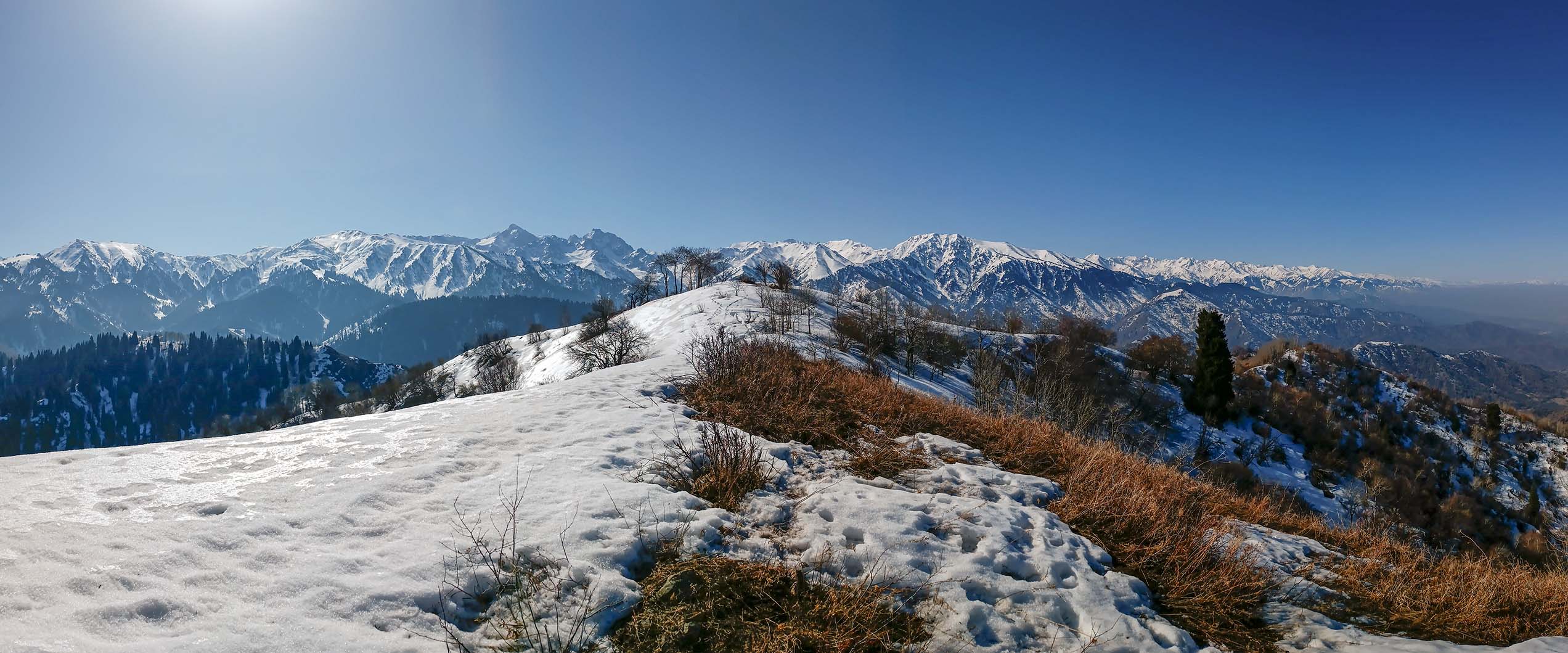 Панорама с г. Шыбынсай