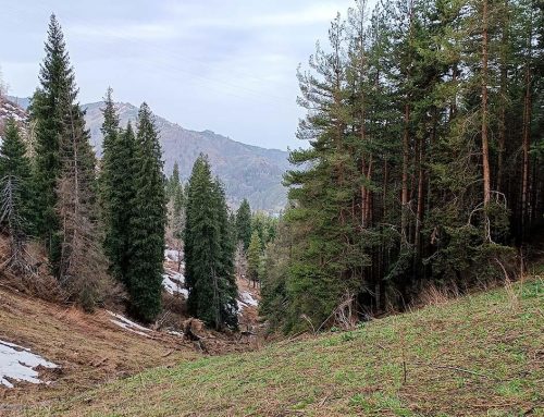 Из Кимасара в ущелье Сарқырама