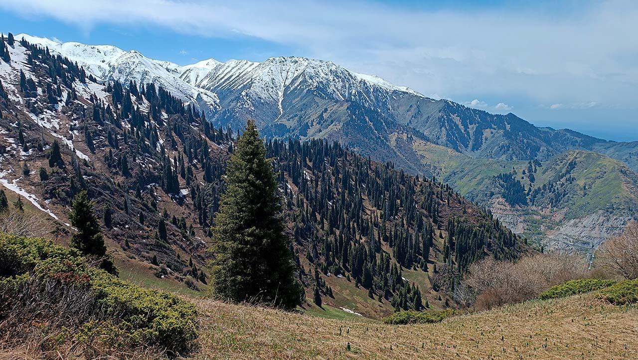 На перевале Саркырама