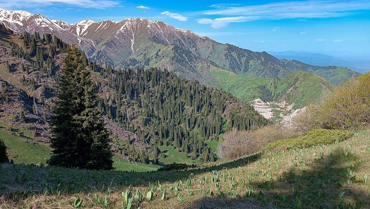 На перевале Саркырама