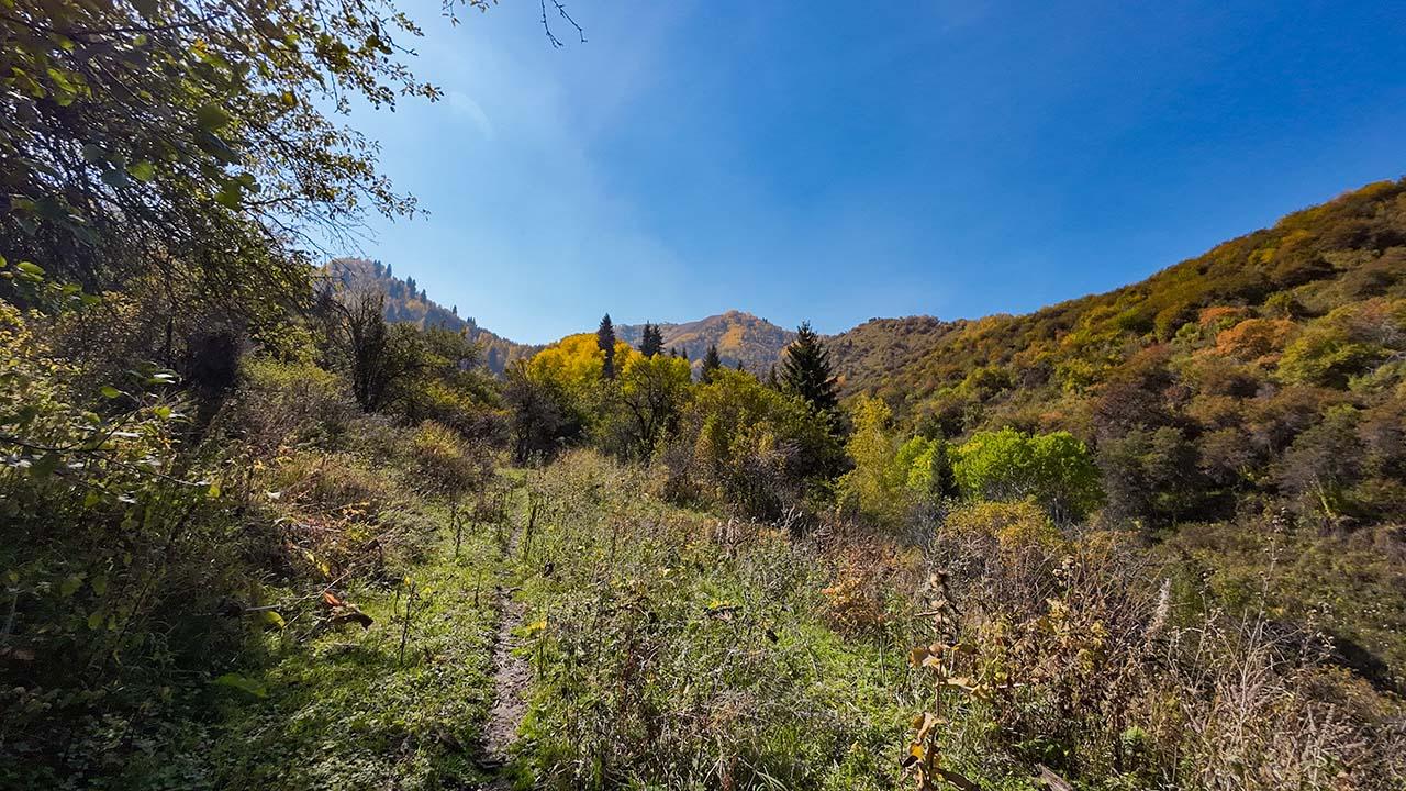 dji 20231001130603 0208 d