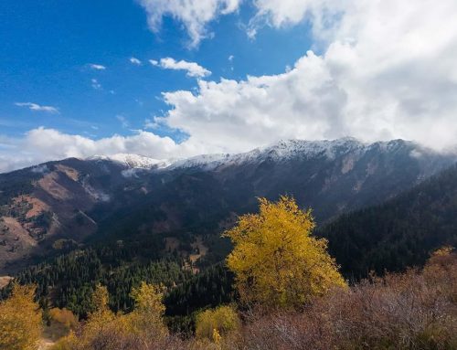 Отель Кумбель — гора Смотровая, 2350 м