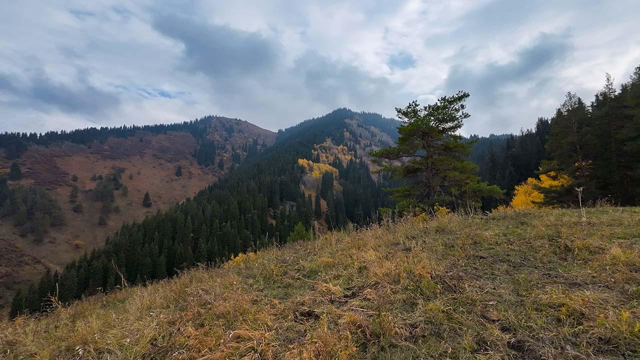 г. Смотровая с севера