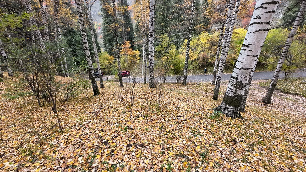 В ущелье Терисбутак