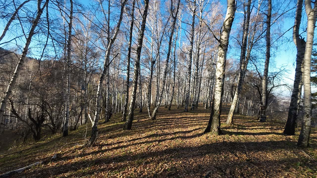 Ремизовское ущелье