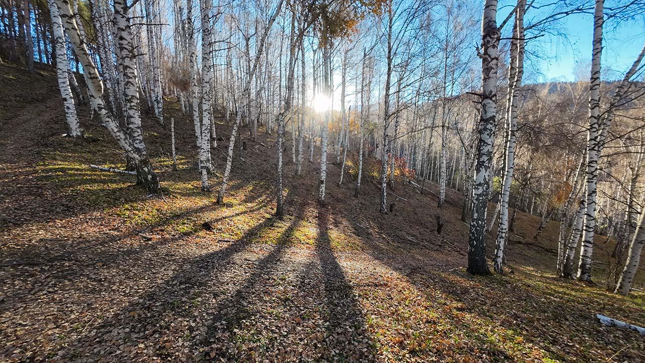 Ремизовское ущелье