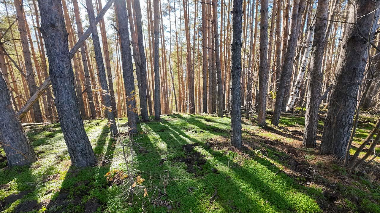 По пути в Аккаин