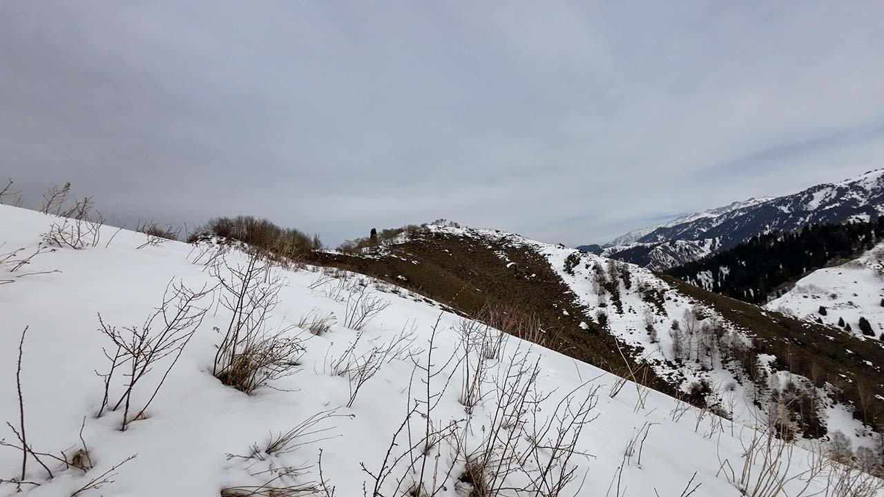 dji 20240210134703 0044 d