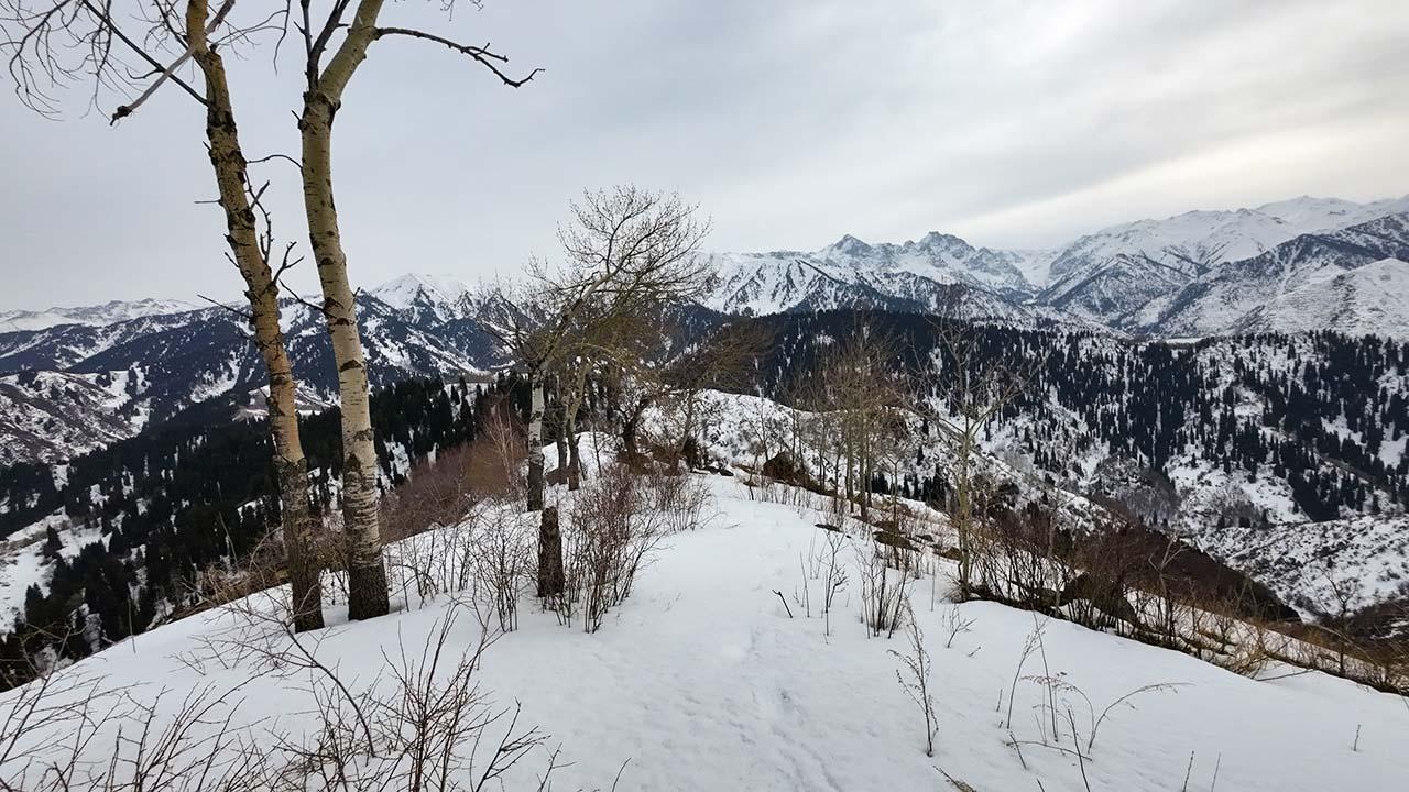 dji 20240210142309 0052 d