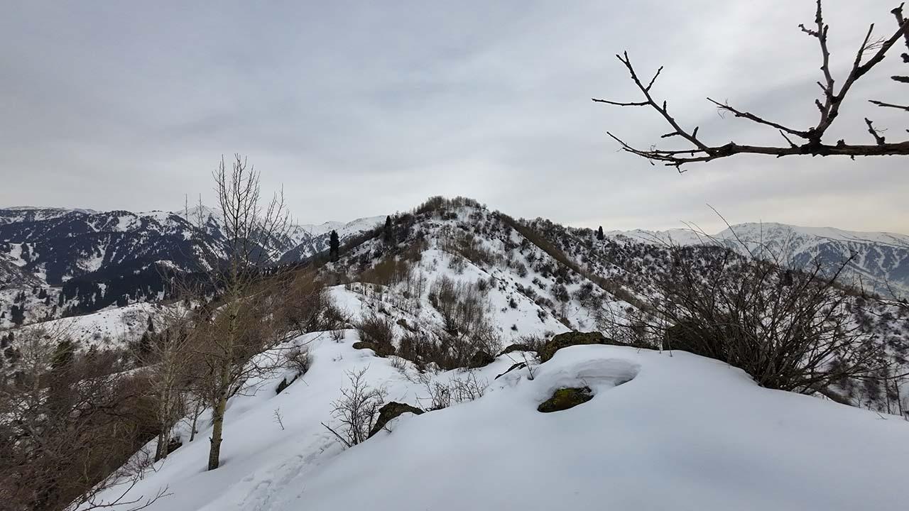 dji 20240210154130 0074 d