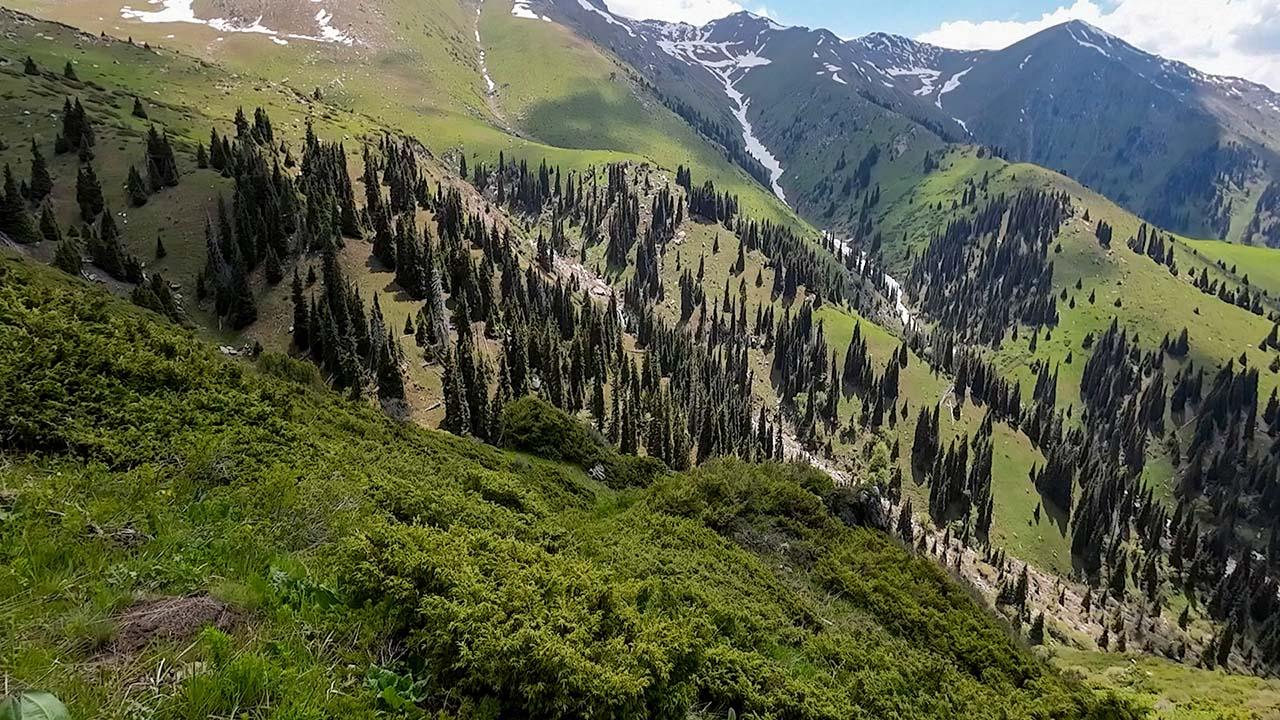 Хребет Терисбутак