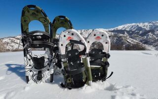 dji 20250310141853 0065 d 800x600 1