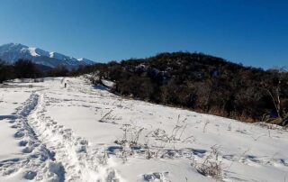 view